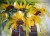 Sonnenblumen, Aquarell 2009, 38 x 55 cm